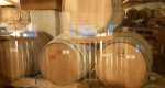 IMG-20220910-WA0087