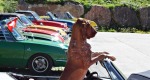 IMG-20220912-WA0011