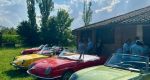 IMG-20240622-WA0079