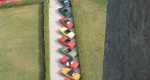 IMG-20240921-WA0050